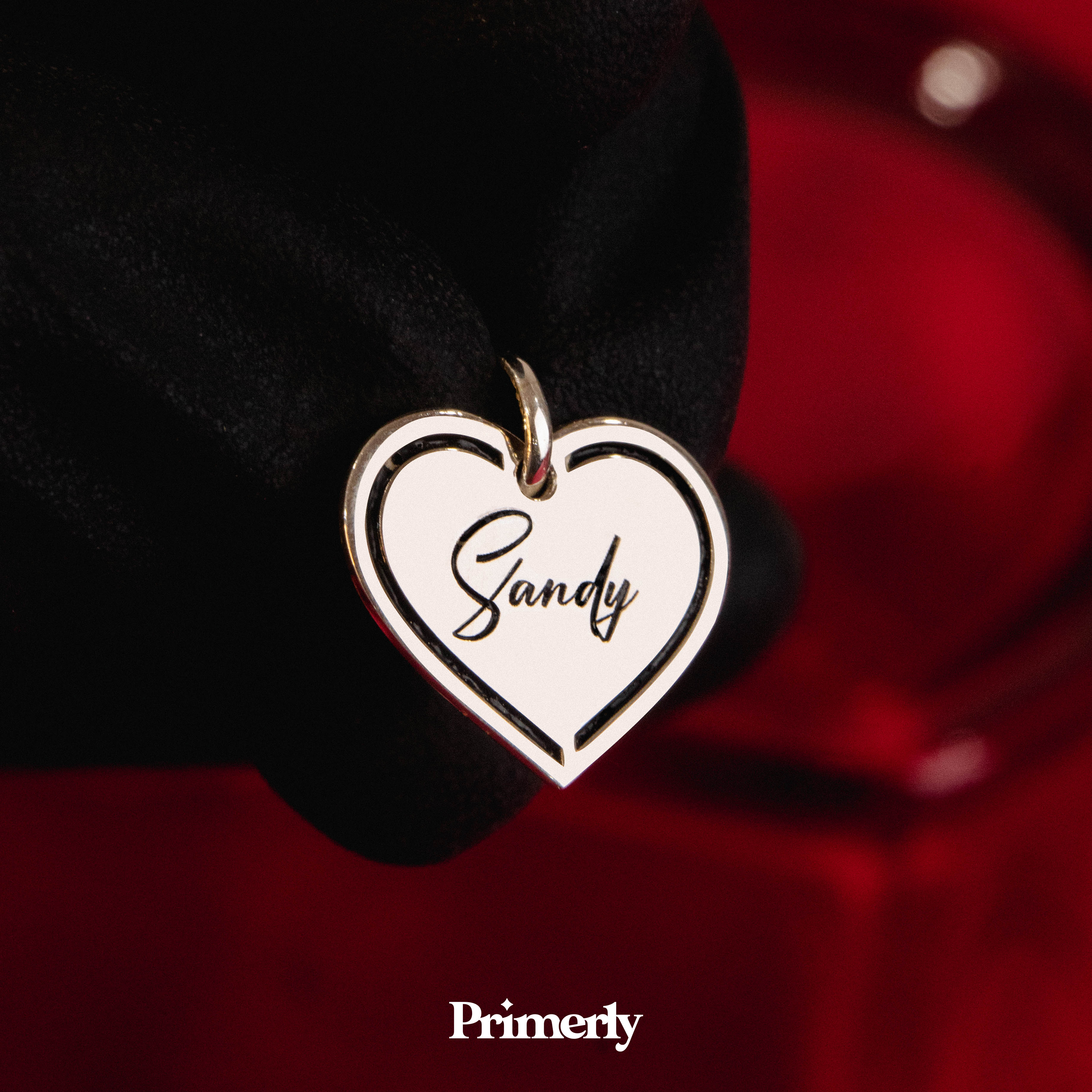 Collar Lines Personalizable Plata .925