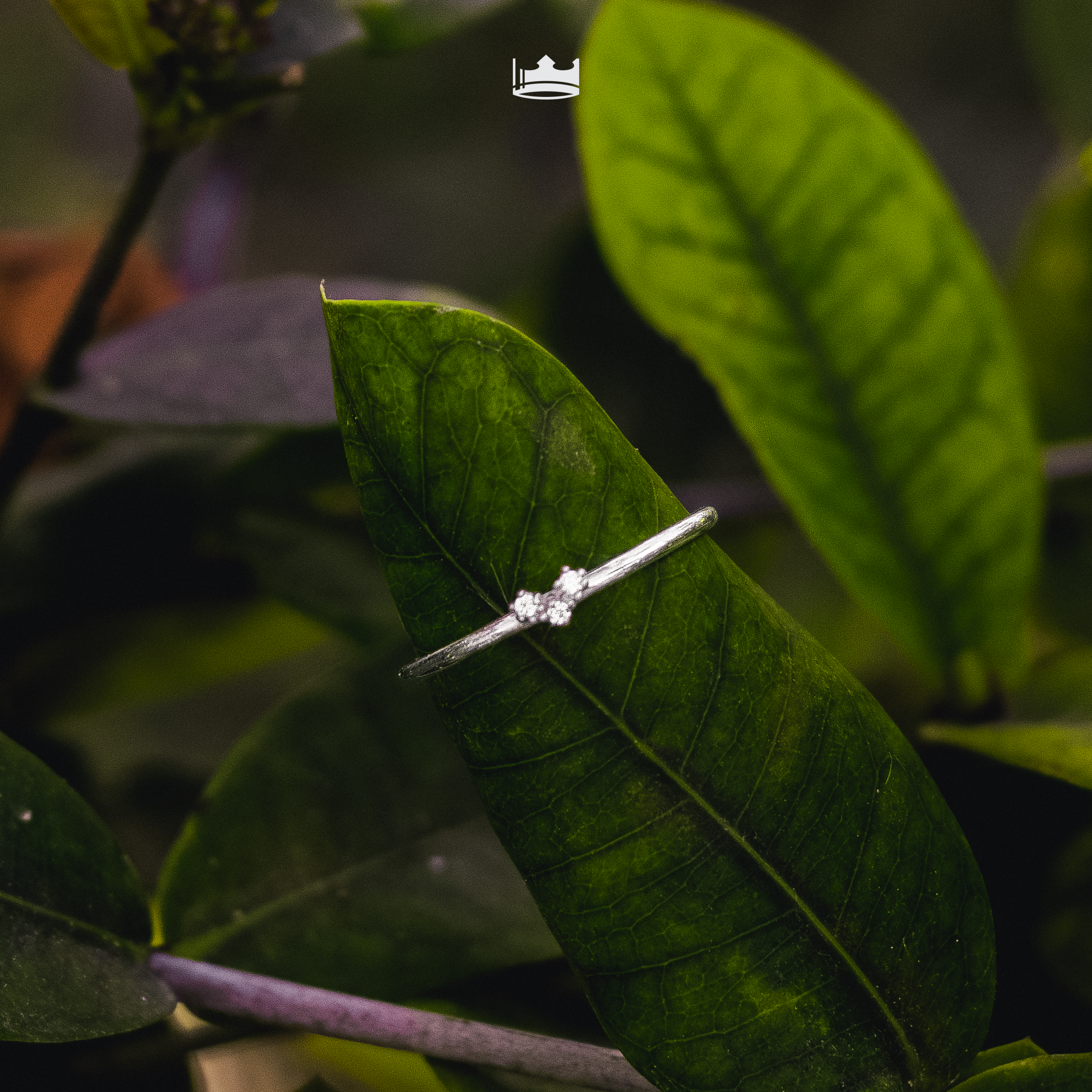 Anillo Promesa Corazón Plata